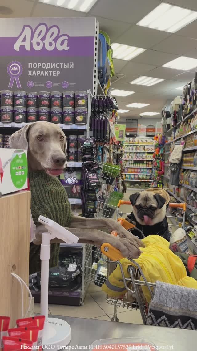 ОСКАР КИНУЛ ДЖОНИ НА БАБКИ 😳 смотреть онлайн