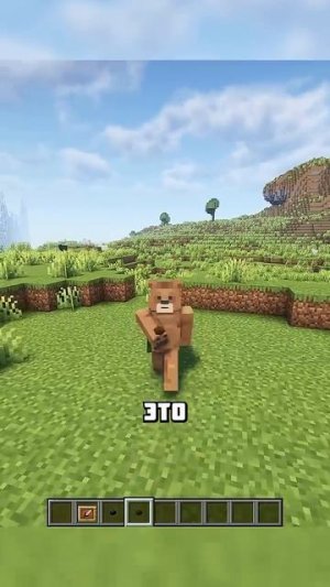 МАЛЕНЬКИЕ ЖУКИ В МАЙНРКАФТЕ #shorts