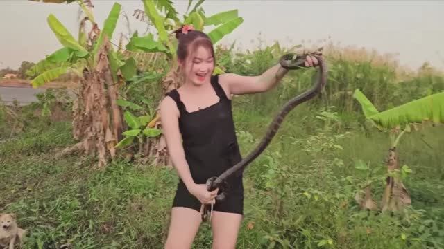 Вьетнамская БОЕВАЯ девушка нашла нору ЗМЕИ и тащит ЗМЕЮ наружу  🐍