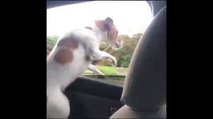 Я верю : я могу летать