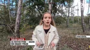 Грибной сезон стартовал в Крыму и Севастополе