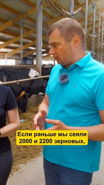 ФЕРМЕР: Было очень тяжело! Покупали КОРМА за 300 км #фермер #ферма #коровы #молоко #агро смотреть онлайн