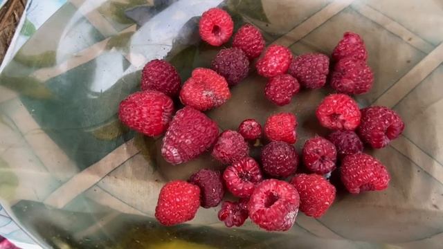 Малина 28 сентября смотреть онлайн