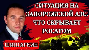 Что скрывает Росатом. Ситуация на Запорожской АЭС / Максим Шингаркин