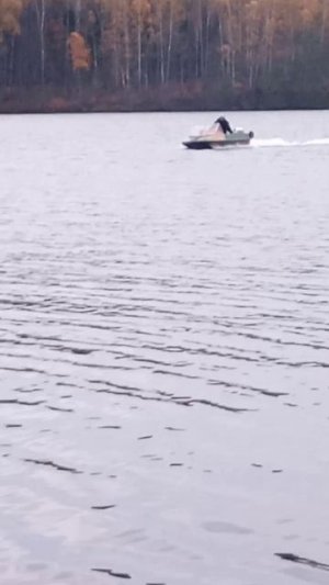 Тримаран Фламинго и Джонсон 9,9