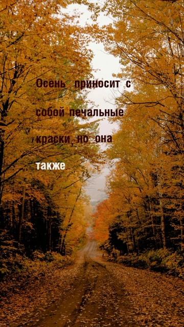Цитата#221 «Настроение осень🍁🍂🍃» #осень #2025 #цитаты #motivation