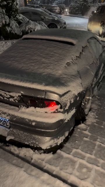 Вот и зима настала🥶 смотреть онлайн