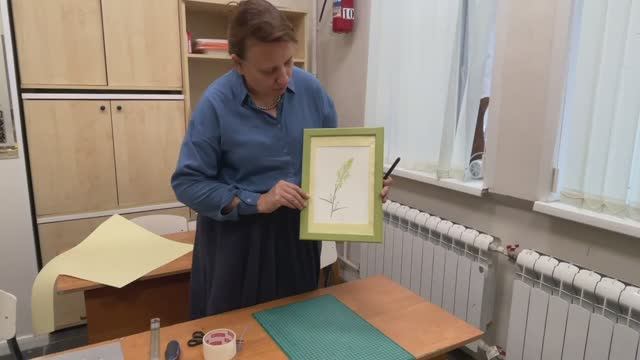 Оформление работ для выставок