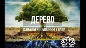 Дерево (блок Синтез) || Теория и практика || Работа с Родом || Школа «ТоЧегоНет»