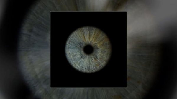 KOFE - Перезагрузка (Официальная премьера трека)