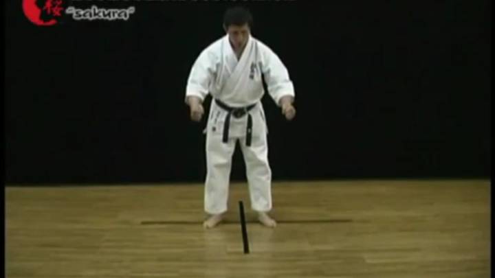 Дзюдзи - Ката Карате Кёкусинкай (Jyuji Kata - 十字型)v.1 смотреть онлайн