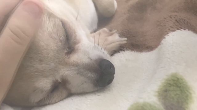 МОИ ФОТО !? ПОКАЗАЛ ЛИЦО !? ЧТО ТАКОЕ ? ЯРИК КЕНТ! смотреть онлайн