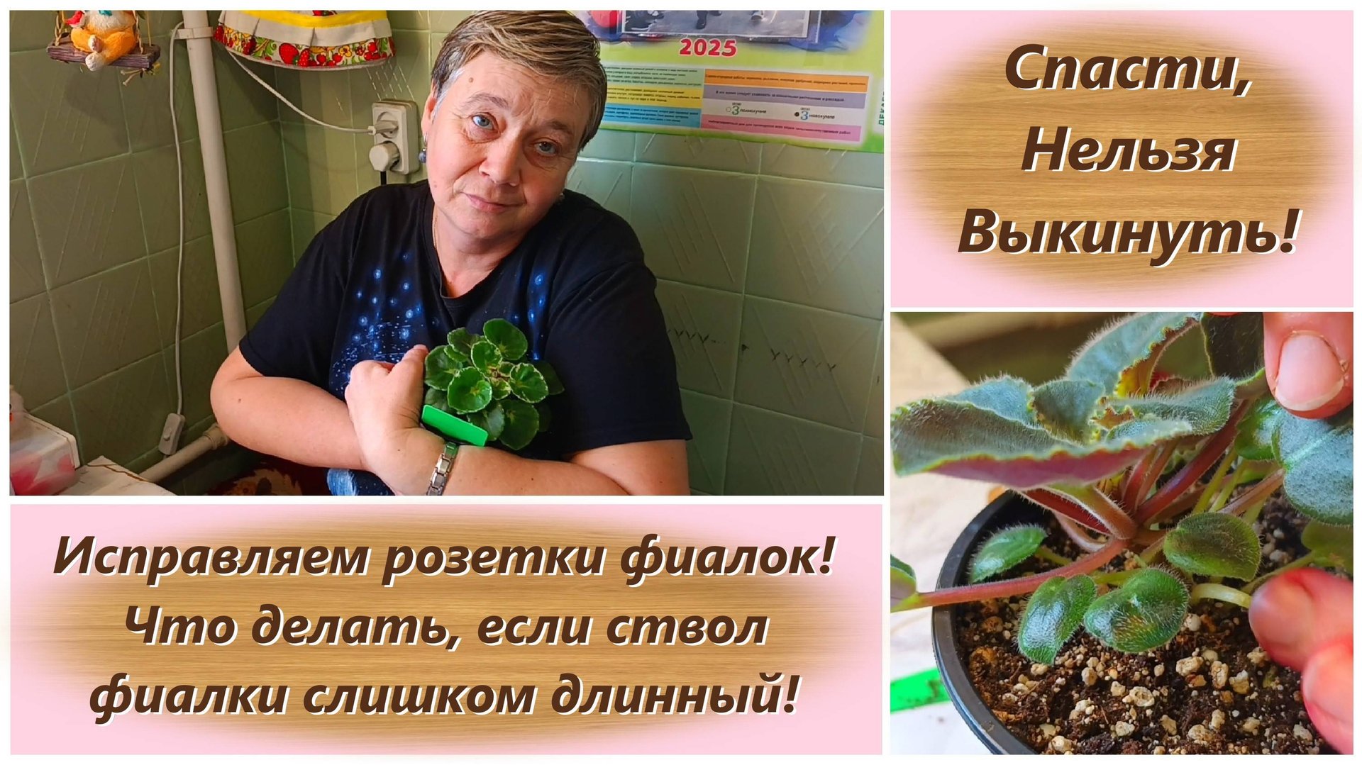 Спасти, Нельзя Выкинуть! Исправляем розетки фиалок! Что делать, если ствол фиалки слишком длинный!