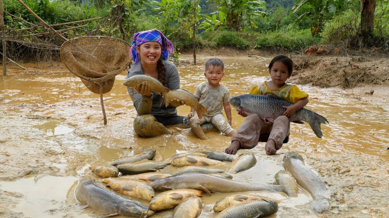 Catch fish, trap fish, harvest giant fish pond to sell at market with little son. смотреть онлайн