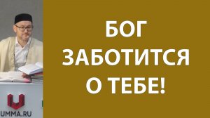 Красота жизни