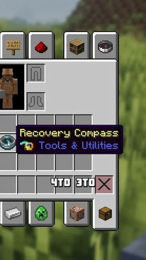 КАКИЕ РЕДКОСТИ ЕСТЬ В МАЙНКРАФТЕ #shorts