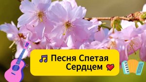 Старинная Песня до Слёз🎸💘🎵  Ах судьба моя судьба!