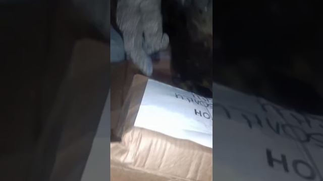 Как рады наши ребчта чистому белью,носкам и футболкам/ Волонтерская помощь очень нужна! смотреть онлайн