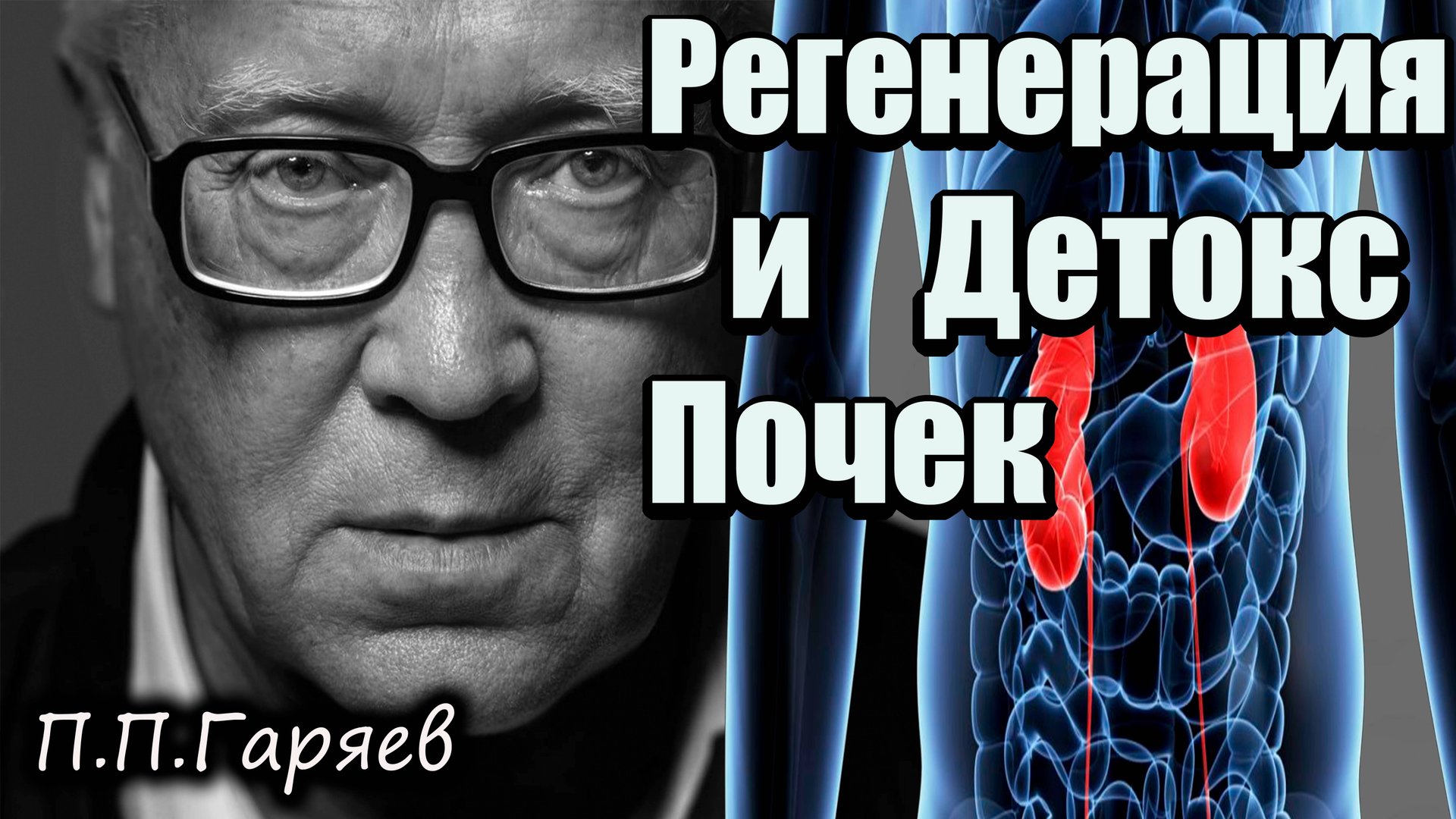 Матрица Гаряева для Почек | Звуковая терапия для восстановления и детокса смотреть онлайн