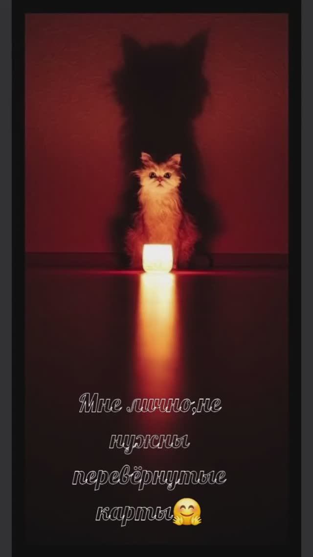 Ответ на вопрос про перевёрнутые карты👽