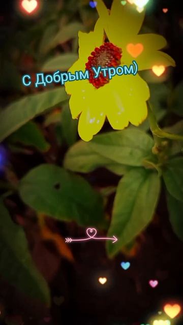 Желаю вам хорошего дня