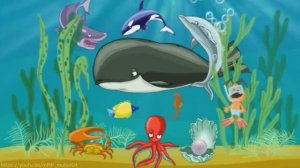 Обитатели морского мира - познавательный мультфильм для детей