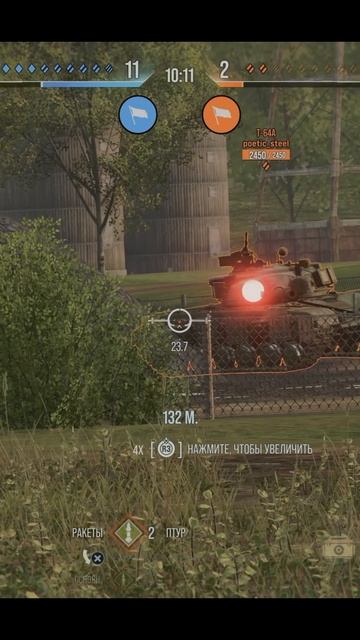 В мире животных