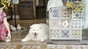 Дорога от кафе 12 Стульев и У Лины до отеля Ssaw Boutique Hotel Sanya. Санья. Китай. Дадунхай