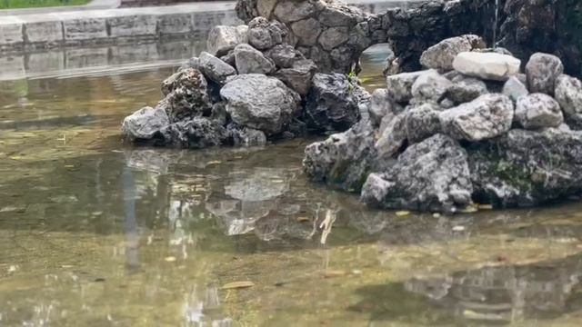 О путешествиях и обо всем понемногу