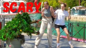 Best bushman prank of 2025, (best of video may 2025)