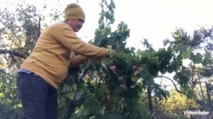 Огромное удовольствие поработать на даче