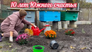 Переезд на Юг | Посадка винограда и хризантем | Готовим пчел к зиме