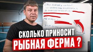 Зарабатывать на ЭТОМ может каждый круглый год! Бизнес-план по разведению форели в 2025 / УЗВ-ферма