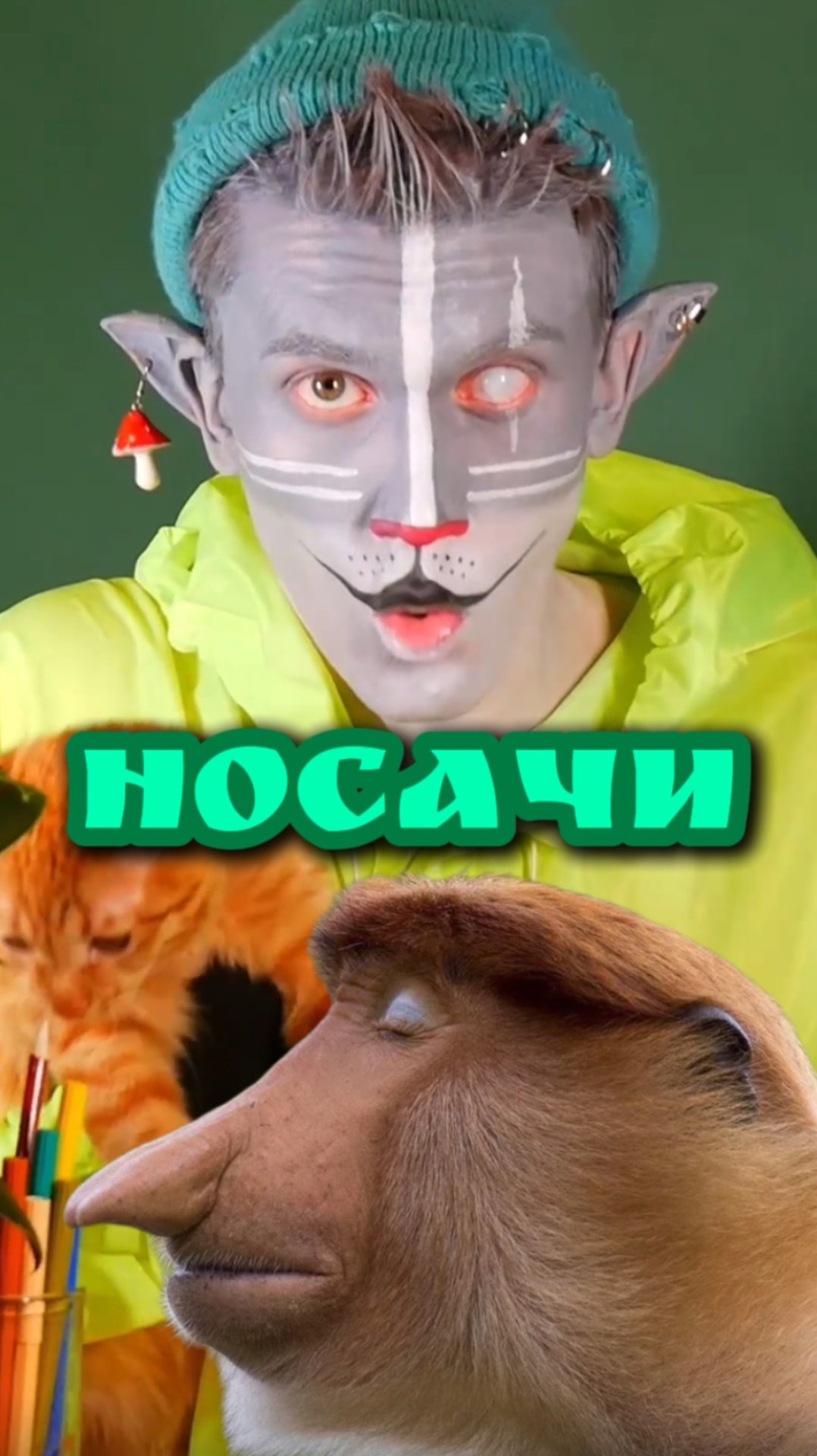 Кот Учёный и Носачи 🐒 смотреть онлайн
