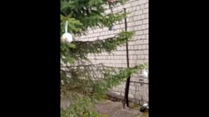 Новогодняя елка New Year tree