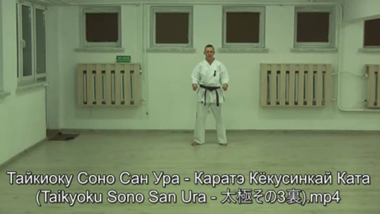 Тайкиоку Соно Сан Ура - Каратэ Кёкусинкай Ката (Taikyoku Sono San Ura - 太極その3裏) смотреть онлайн