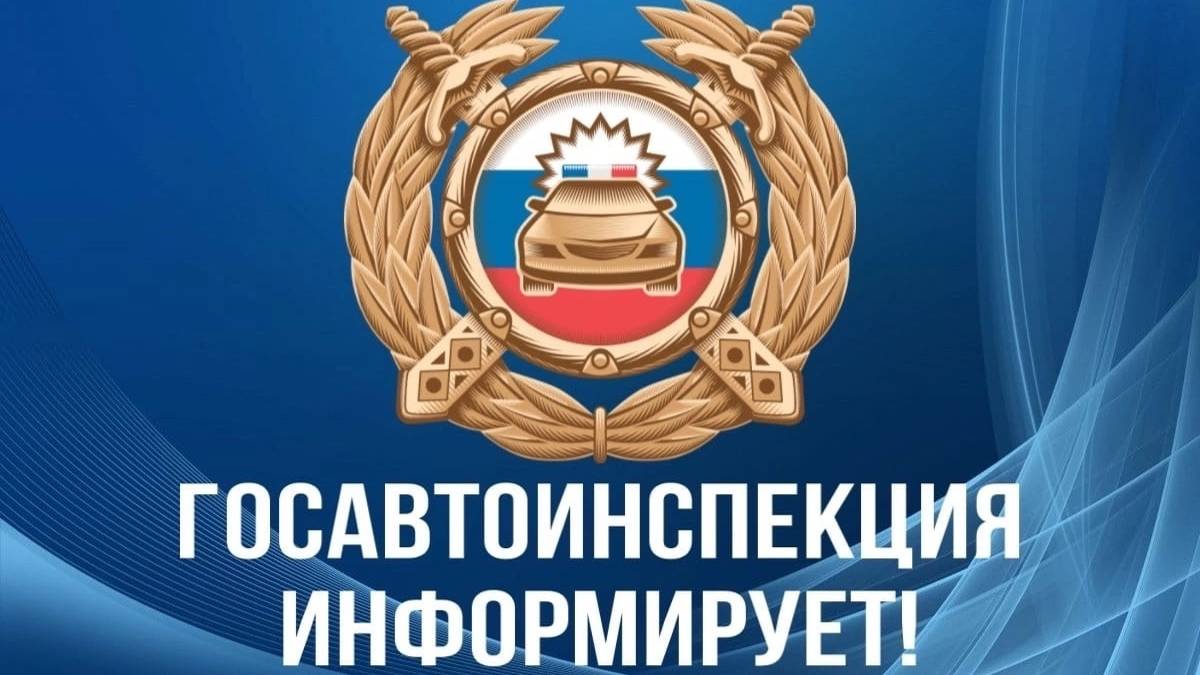 видео пристегни самое дорогое смотреть онлайн