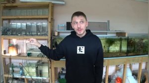 Почему продаю довоенный корм? и причем тут карма. Мысли вслух.