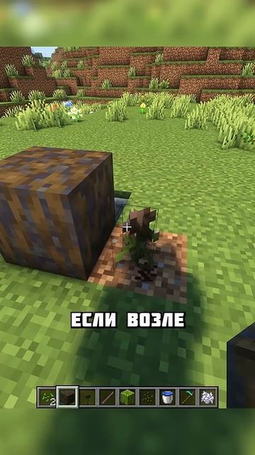 СГНИВШИЙ АРБУЗ В МАЙНКРАФТЕ #shorts смотреть онлайн