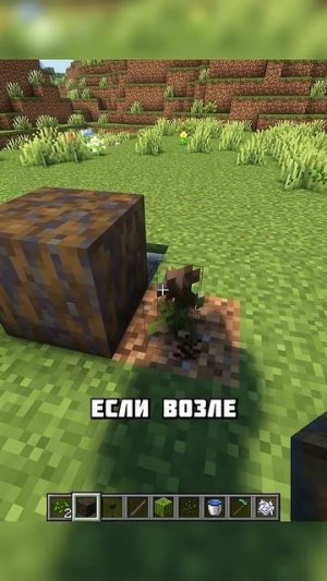 СГНИВШИЙ АРБУЗ В МАЙНКРАФТЕ #shorts