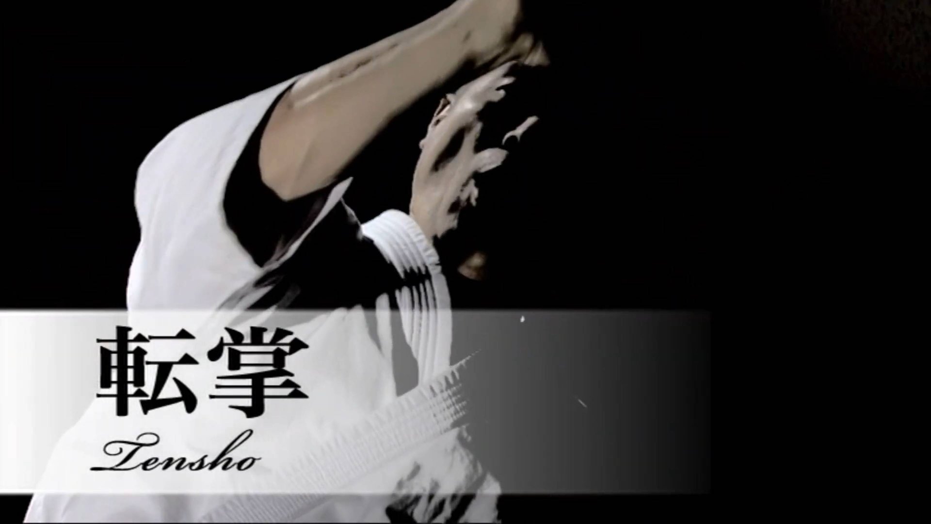 Теншо - Ката + Бункай Карате Кёкусинкай (Tensho - 転掌)v.3 смотреть онлайн