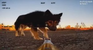 Нанесен дополнительный поражающий ингредиент к боеприпасу перед ударом по ВСУ