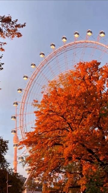 Новости Москвы