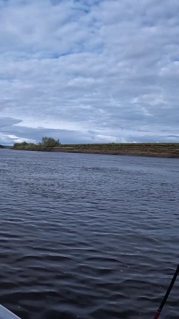 Просто глиссировал на лодке по реке! Живой звук. смотреть онлайн