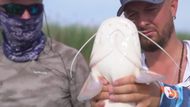 "НАРОДНЫЙ ПРОЕКТ АСТРАХАНЬ". Сом на квок для алтайского гостя. смотреть онлайн