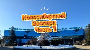 Новосибирский зоопарк- новые животные , что посмотреть путешественнику?
