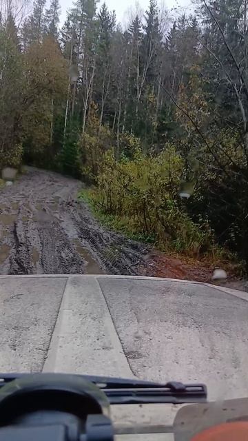 Вышкарь на полном приводе.