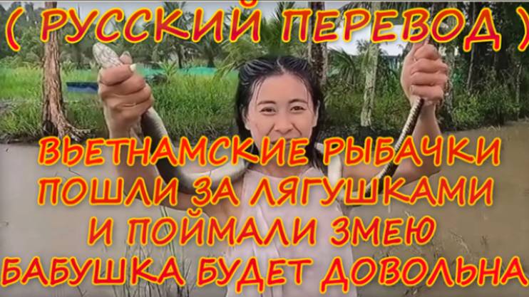 Вьетнамские рыбачки пошли за лягушками и поймали змею - Бабушка будет довольна