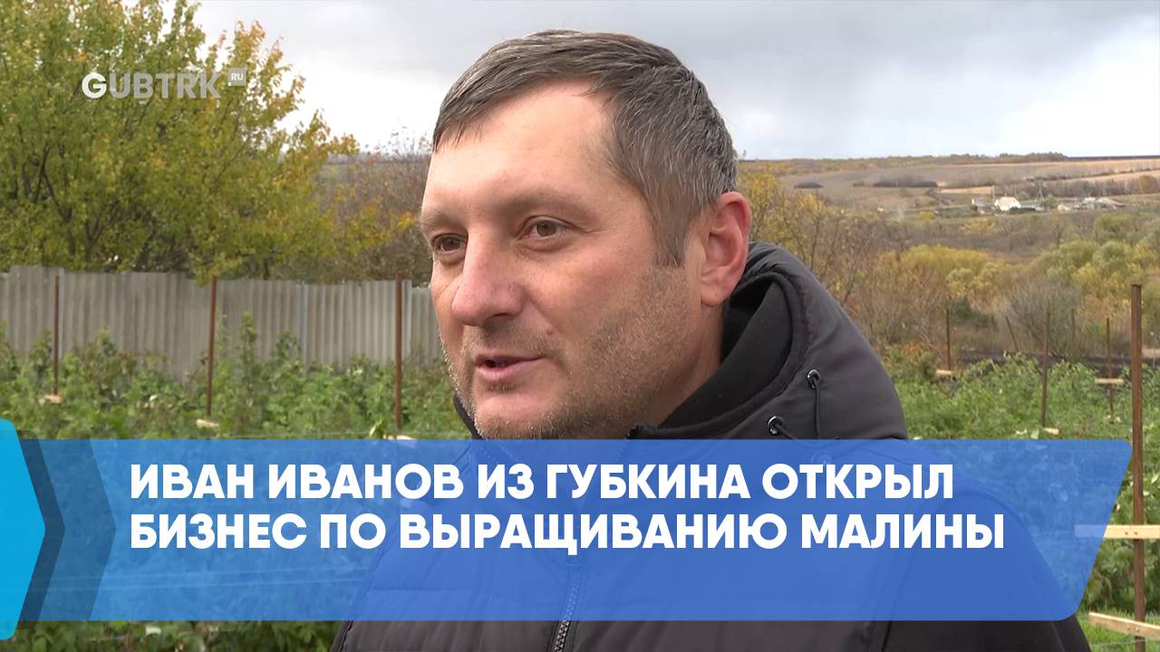 Иван Иванов из Губкина открыл бизнес по выращиванию малины смотреть онлайн