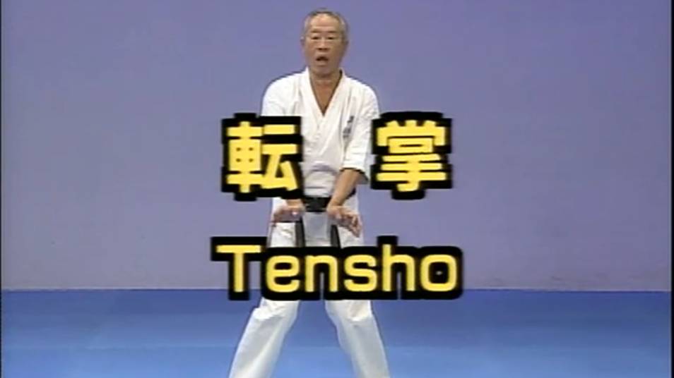 Теншо - Ката Карате Кёкусинкай (Tensho - 転掌)v.1 смотреть онлайн